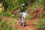 Day 3: (24th February, 2027) Phu Yen – Nghia Lo (130 Km | Approx. 6 Hours)  (B/L/D)