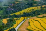 Day 4: (6th Aug, 2026 ) NGHIA LO – MU CANG CHAI (130 KM / APPROX. 4 HOURS)	 (B/L/D)