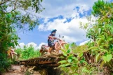 Day 7:  (24th February, 2027) Thac Ba Lake – Hanoi (180 Km | Approx. 5 Hours)  (B/L)