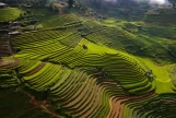 Day 3: Phu Yen - Nghia Lo (160km/approx. 6 Hours)  (B/L/D)