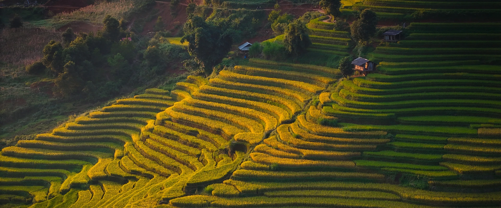 (23Rd February - 1St March, 2026) Conquer Northwest Vietnam: The Ultimate 7-Day Motorcycle Adventure