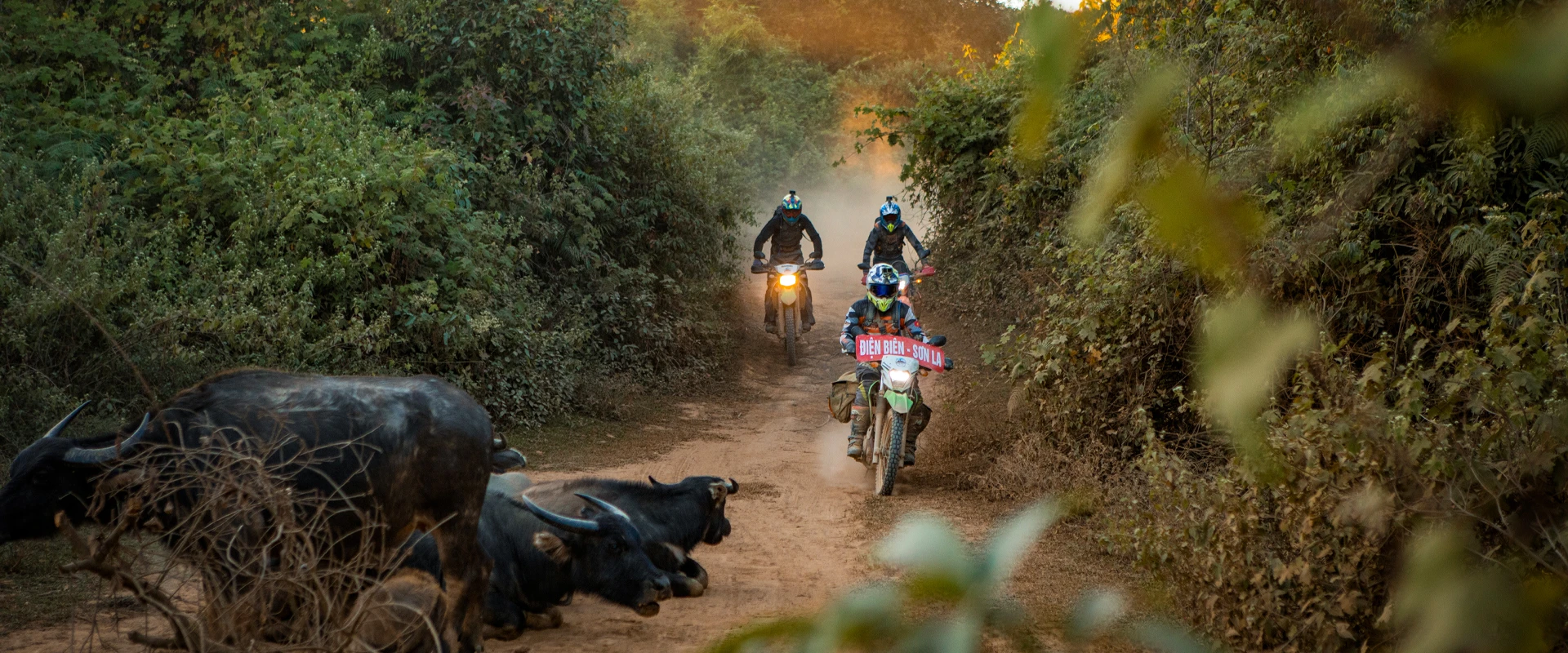 (15Th - 22Th Sept, 2026  ) Thrilling 8-Day Northwest Vietnam Motorcycle Adventure
