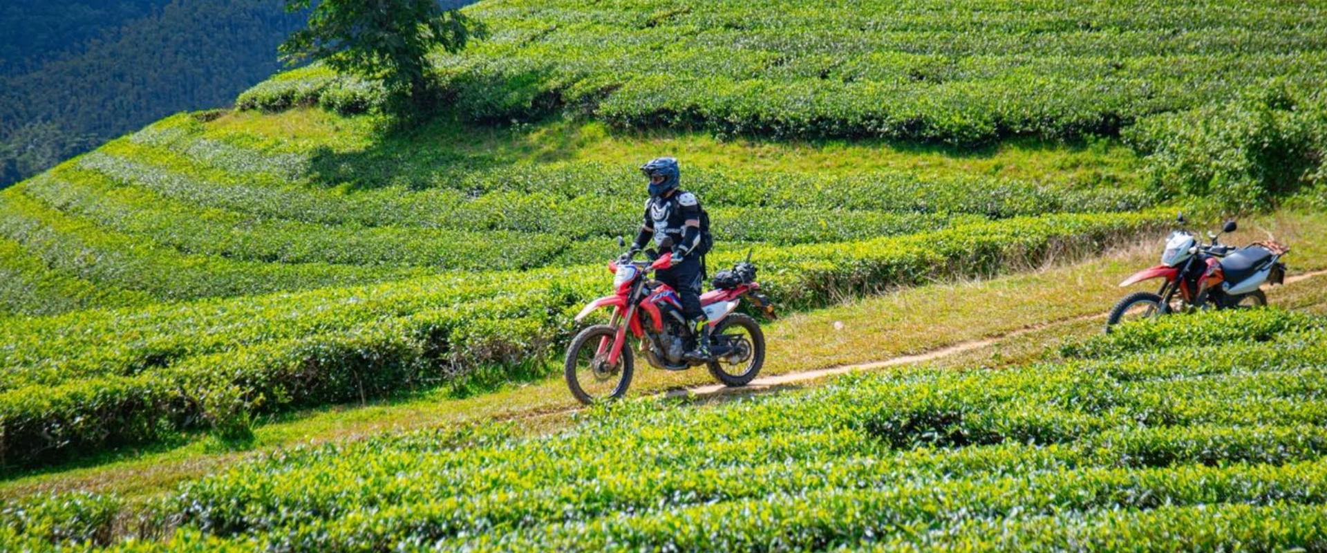 (3Rd – 9Th July, 2026) Epic 7-Day Northwest Vietnam Adventure: Conquer The Legendary Mountain Passes
