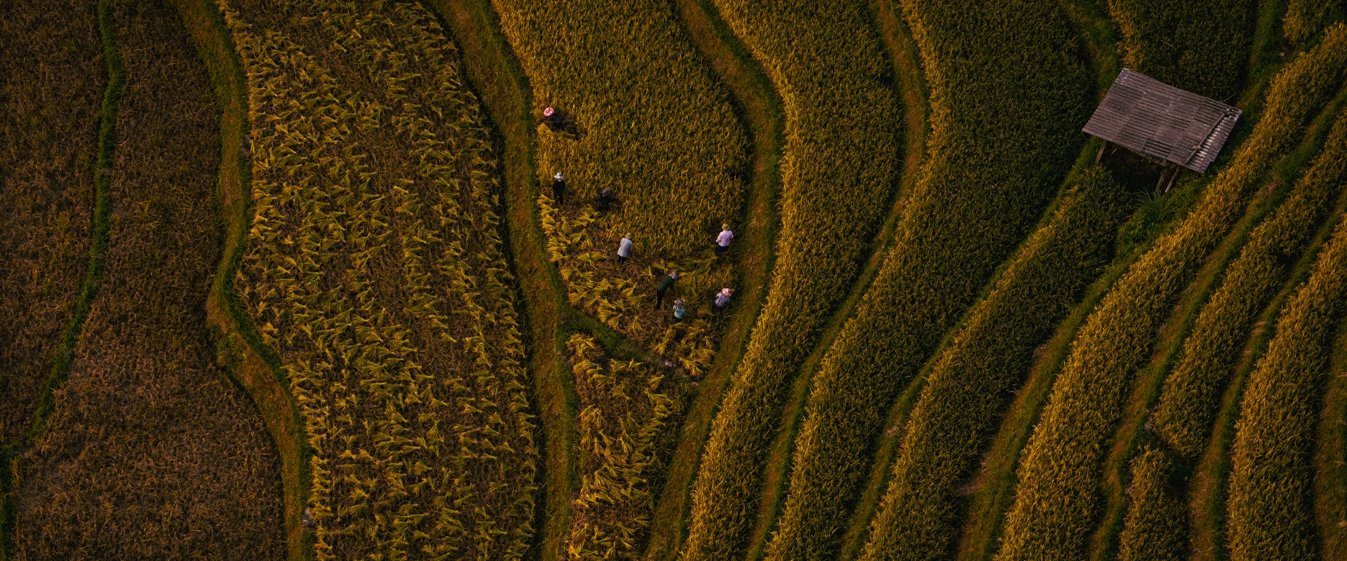 Vietnam Adventure 6-Day Tour To Northwest