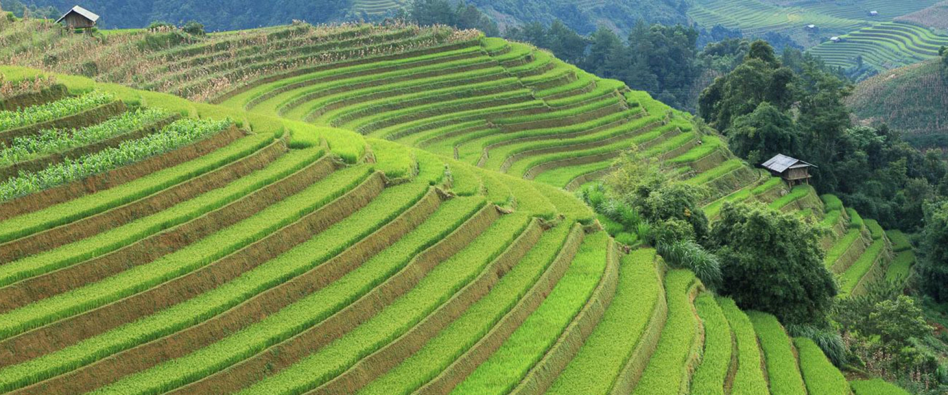 (24Th Sept – 1St Oct 2026) 8-Day Northwest Vietnam Adventure