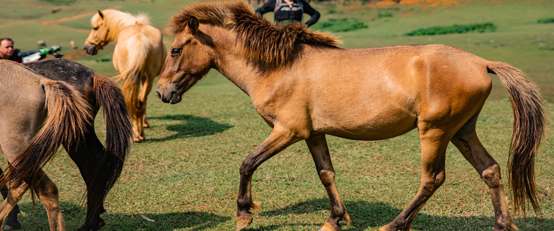 (13Rd-19Th  Dec, 2026) 7-Day Northeast Vietnam Motorcycle Expedition