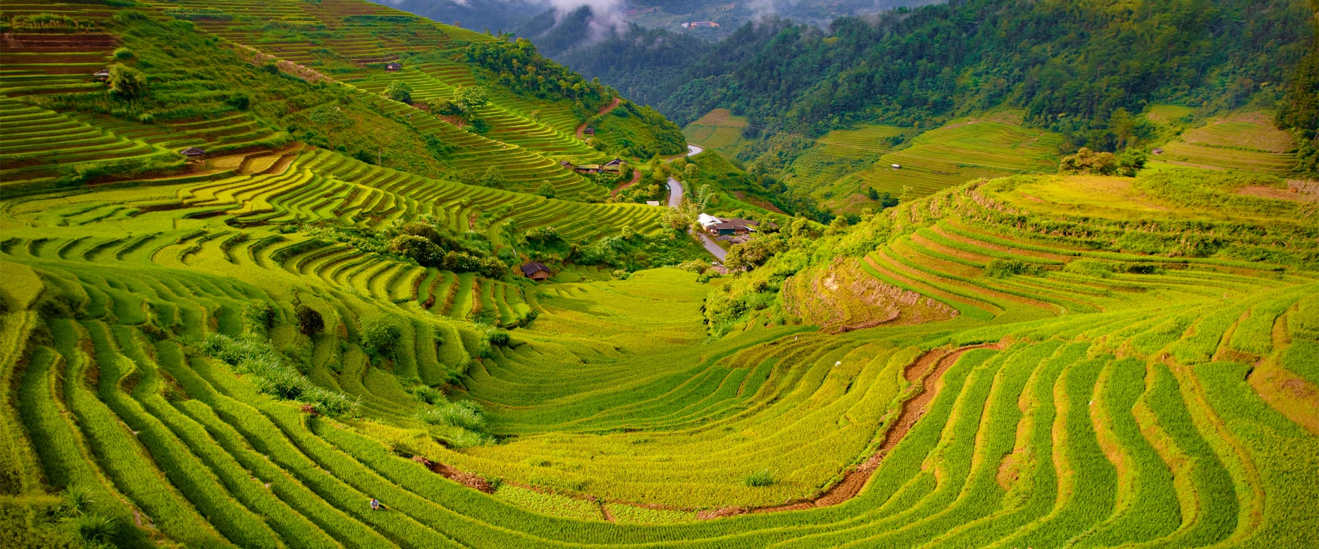 ( 2Nd -8Th Nov, 2026)  7 Days To Unveil Northwest Vietnam Motorcycle Tour 