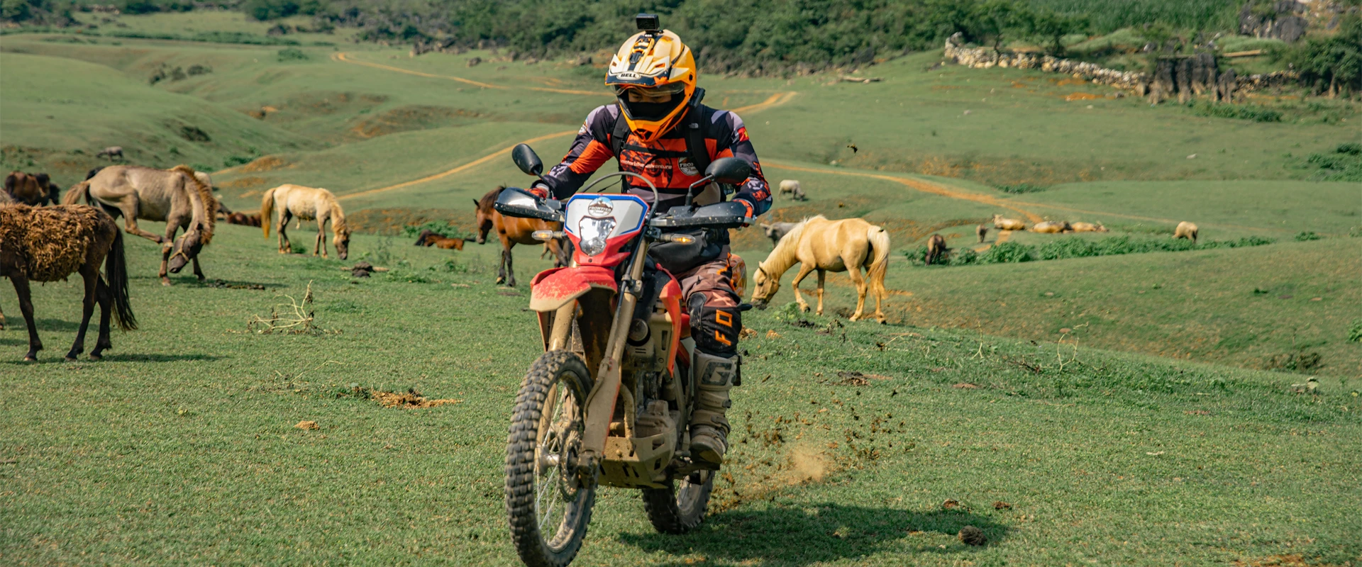 (12Nd -18Th Nov, 2026 ) Northwest Vietnam Expedition: 7-Day Motorcycle Adventure