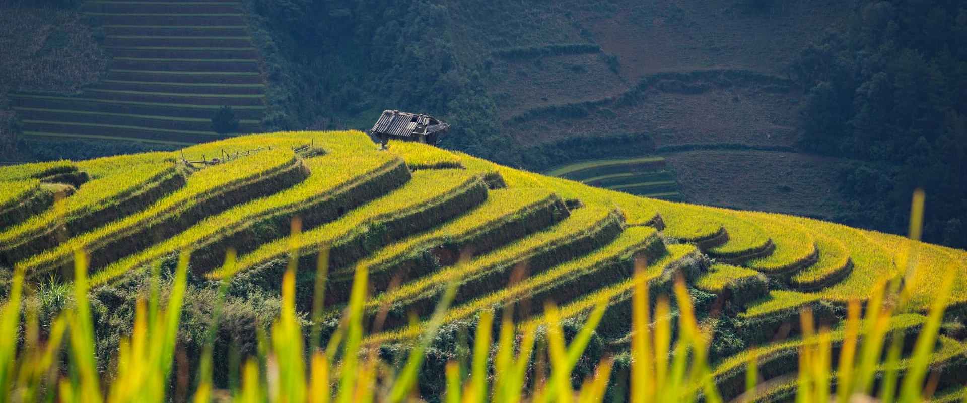 (12Th–23Rd July, 2026) 12-Day Vietnam Motorbike Tour: Mountains To Ha Long Bay