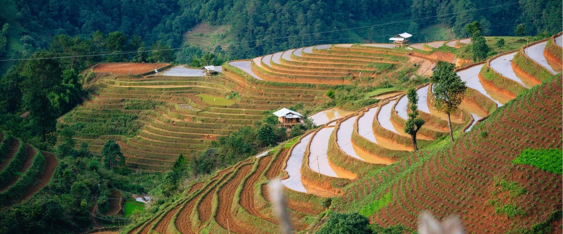 (25Th–31St August, 2026) 7 Day Vietnam Motorcycle Tour Northwest Adventure 