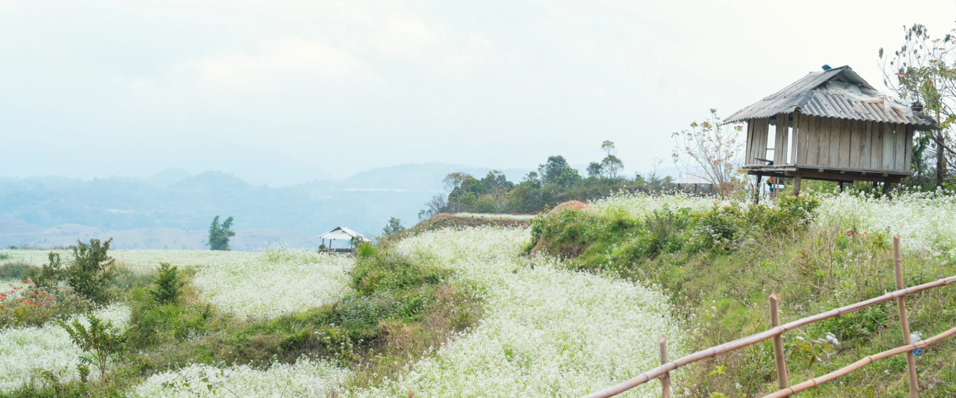 Ha Giang 3-Day Motorbike Adventure Tour