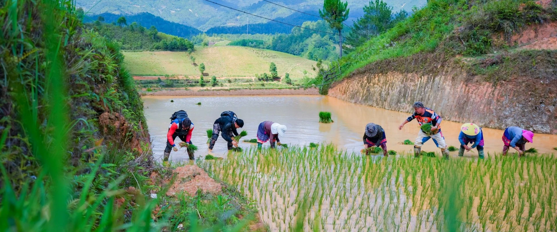 (  18Th –24Th February, 2027) 7-Day Northwest Vietnam Motorbike Adventure