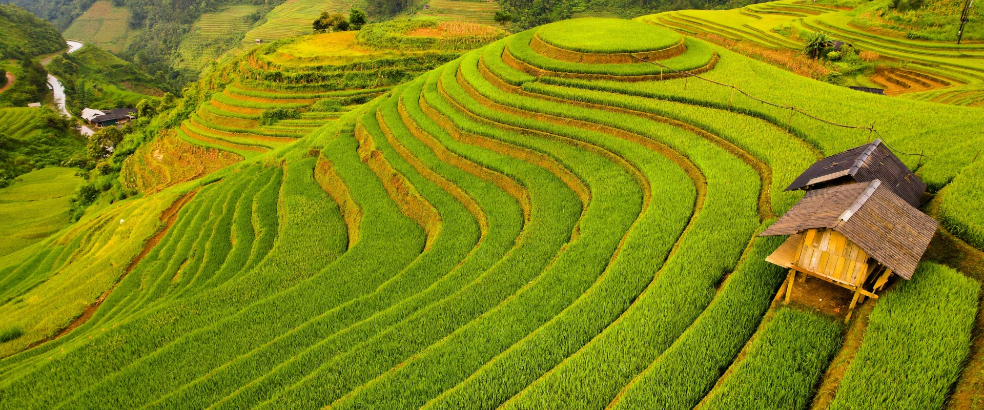 Unforgettable 11-Day Motorbike Tour: Explore The Highlights Of Northwest And Central Vietnam