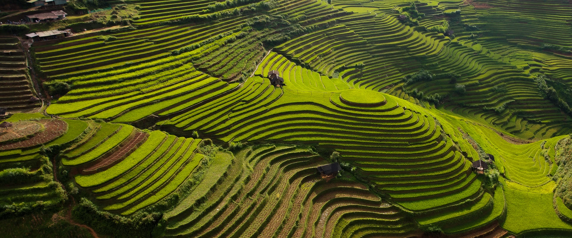 Vietnam Unleashed: 7 Days 6 Nights Of Motorcycle Tour To The North West 