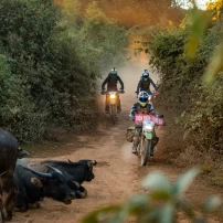 (11Th September - 18Th September ) Thrilling 8-Day Northwest Vietnam Motorcycle Adventure