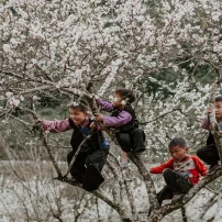 Vietnamese Vistas: A 4-Day Northwest Expedition