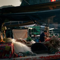 Vietnamese Vistas: A 4-Day Northwest Expedition