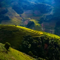 (15Th - 21St January, 2026) 7-Day Motorcycle Adventure Through Northwest Vietnam'S Stunning Landscapes