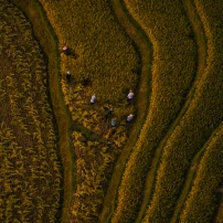 Vietnam Adventure 6-Day Tour To Northwest