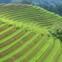(24Th Sept – 1St Oct 2026) 8-Day Northwest Vietnam Adventure