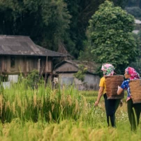 (12Nd–18Th Dec, 2026 ) 7-Day Northeast Vietnam Motorbike Adventure: Conquer Rugged Borders