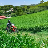 ( 3Rd - 9Th April, 2026 ) Northwest Vietnam Awaits: 7 Epic Days On Two Wheels