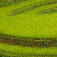 (12Nd – 22Nd September, 2026) Ride The Wild North: Epic 11-Day Northern Vietnam Motorbike Tour