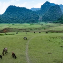 Vietnam Adventure Tour - 6 Day Far North Frontier