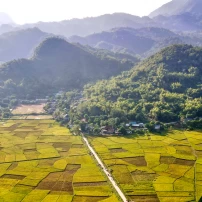 (4Th–10Th June, 2026)  7 Days To Unveil Northwest Vietnam: A Motorbike Journey Through Mountains & Hidden Valleys