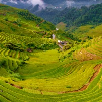 (4Th–10Th June, 2026)  7 Days To Unveil Northwest Vietnam: A Motorbike Journey Through Mountains & Hidden Valleys