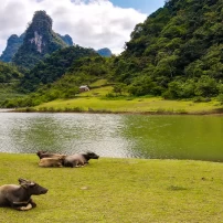 (4Th–10Th June, 2026)  7 Days To Unveil Northwest Vietnam: A Motorbike Journey Through Mountains & Hidden Valleys