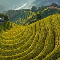 (12Th–23Rd July, 2026) 12-Day Vietnam Motorbike Tour: Mountains To Ha Long Bay