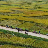 (12Th–25Th April, 2027)  14-Day Vietnam Dry Season Adventure – The Ultimate North-To-South Ride