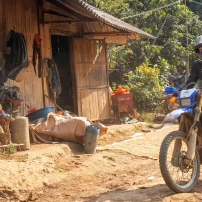 (3Rd–10Th November, 2026) Northeast Vietnam 8-Day Adventure: Ride The Rails Through Untouched Landscapes