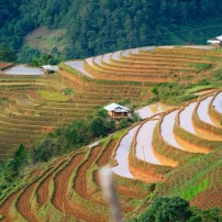 (25Th–31St August, 2026) 7 Day Vietnam Motorcycle Tour Northwest Adventure 