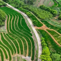 ( 13Th–23Rd March 2027 ) Ride The North: 11-Day Vietnam Motorcycle Journey