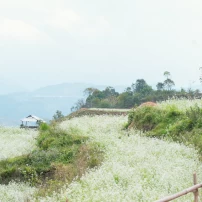 Ha Giang 3-Day Motorbike Adventure Tour