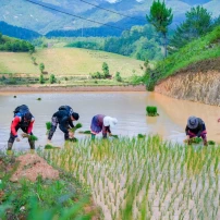 (  18Th –24Th February, 2027) 7-Day Northwest Vietnam Motorbike Adventure