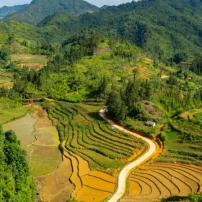 ( 5Th–15Th January 2027 )11-Day Northern Vietnam Adventure Conquering Clouds, Blossoms & Mountain Passes