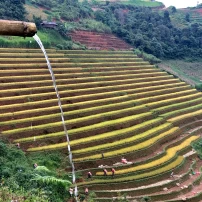 Vietnam Adventure Tour 3 Day Authentic Northwest To Mai Chau - Pu Luong 