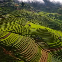 Vietnam Unleashed: 7 Days 6 Nights Of Motorcycle Tour To The North West 