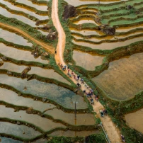 19-Day Full-Throttle Vietnam: Yamaha T7 Adventure Across The Country