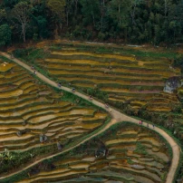 19-Day Full-Throttle Vietnam: Yamaha T7 Adventure Across The Country