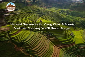 Harvest Season In Mu Cang Chai: A Scenic Vietnam Journey You’ll Never Forget