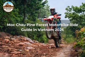 Moc Chau Pine Forest Motorbike Ride Guide In Vietnam 2026