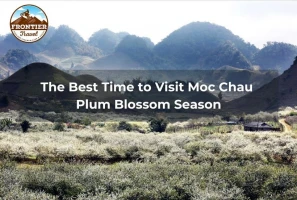 The Best Time To Visit Moc Chau Plum Blossom Season