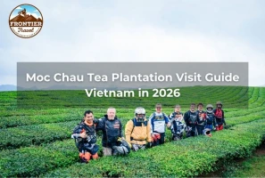 Moc Chau Tea Plantation Visit Guide Vietnam In 2026