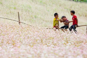 In Which Season Should You Visit Ha Giang?