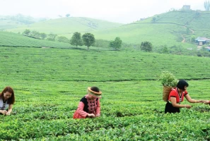 Reasons For You To Travel In Mai Chau On Motorbike