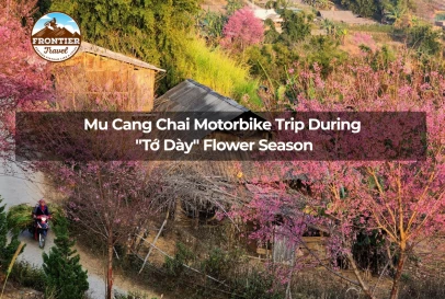 Mu Cang Chai Motorbike Trip During "Tớ Dày" Flower Season